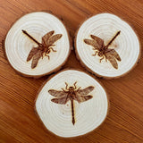Dragonfly Engraved Wood Coaster Set