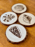Seashell Engraved Wood Coaster Set