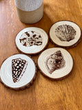 Seashell Engraved Wood Coaster Set