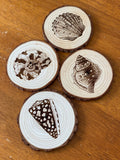 Seashell Engraved Wood Coaster Set