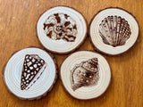 Seashell Engraved Wood Coaster Set